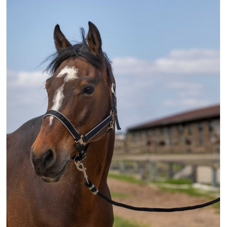 Cabezadas Cabestro - Nylon ligero - Equithème para equitación - vista 4
