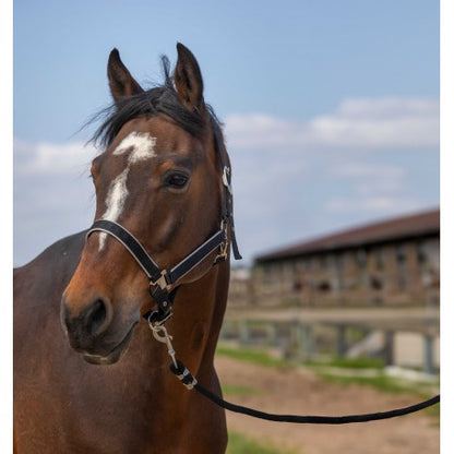 Cabezadas Cabestro - Nylon ligero - Equithème para equitación - vista 4