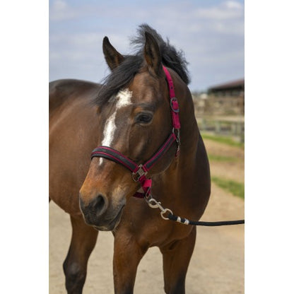 Cabestro - Strass - Equithème