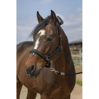 Cabestro - Strass - Equithème