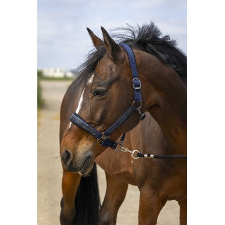 Cabestro - Strass - Equithème