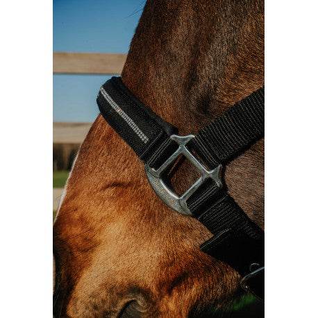 Cabezada Crystal - Norton para equitación - vista 6