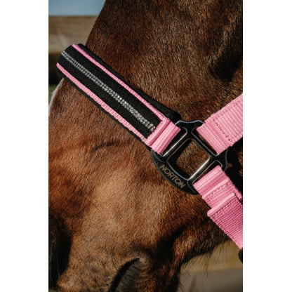 Cabezada Crystal - Norton para equitación - vista 4