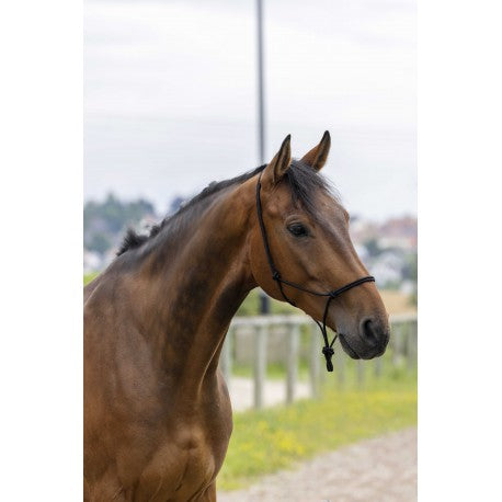 Cabezada de cuadra etológico - Fina - Riding World