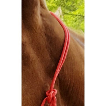 Cabezada de cuadra etológico - Fina - Riding World