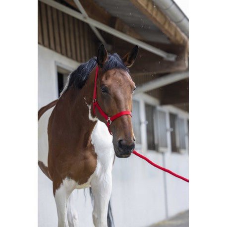 Cabezada de cuadra + ramal - Club - Riding World para equitación - vista 4
