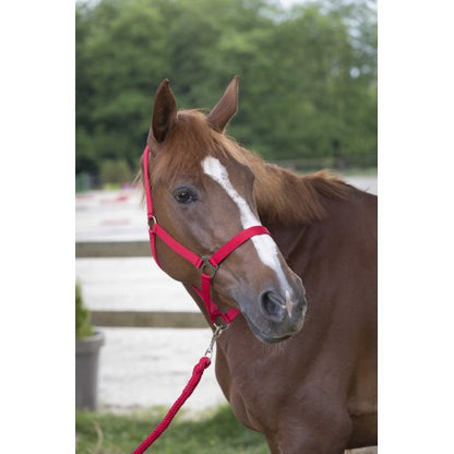 Cabezada de cuadra + ramal - Club - Riding World para equitación - vista 5