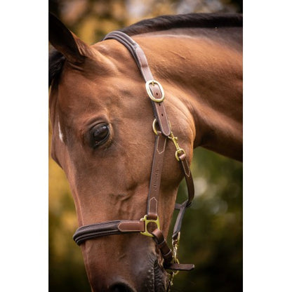 Cabezada de cuero con 3 mosquetones - Paddock