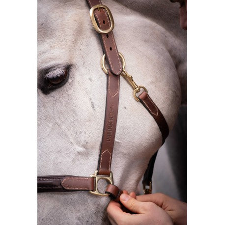 Cabezada de cuero con 3 mosquetones - Paddock