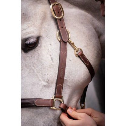 Cabezada de cuero con 3 mosquetones - Paddock