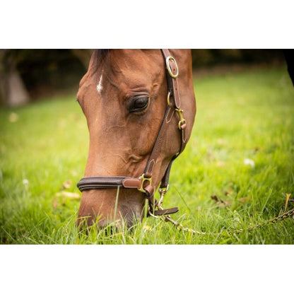 Cabezada de cuero con 3 mosquetones - Paddock
