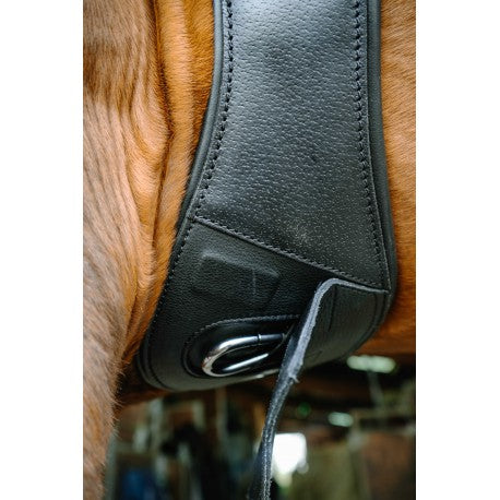 Cabezada de grooming Derby – Cuero engrasado - Norton para equitación - vista 6