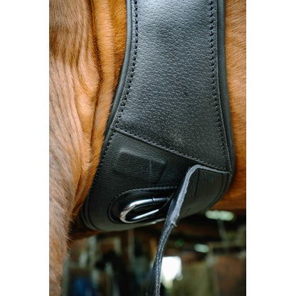Cabezada de grooming Derby – Cuero engrasado - Norton para equitación - vista 6