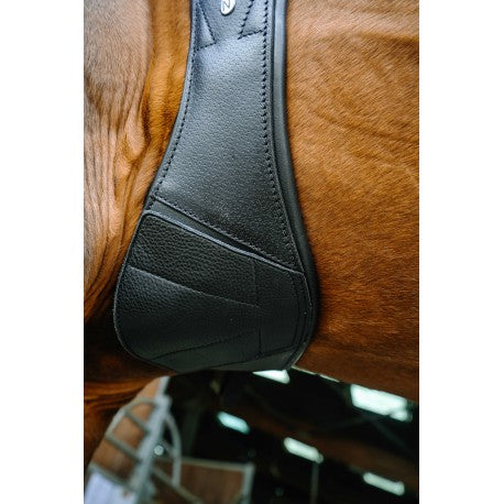 Cabezada de grooming Derby – Cuero engrasado - Norton para equitación - vista 5