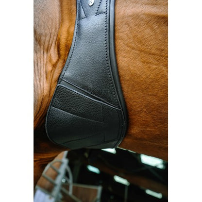 Cabezada de grooming Derby – Cuero engrasado - Norton para equitación - vista 5