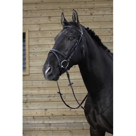 Cabezada de montar - Muserolle combinée - Riding World - Riding World