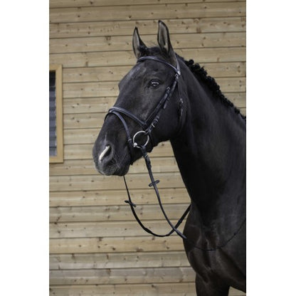 Cabezada de montar - Muserolle combinée - Riding World - Riding World
