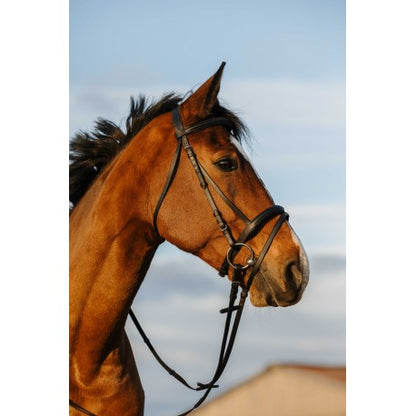Cabezada de montar - Muserolle combinée - Riding World para equitación - vista 2