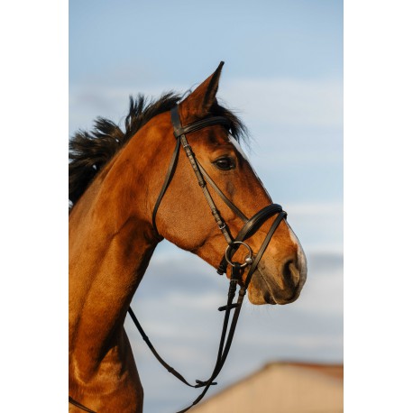 Cabezada de montar - Muserolle combinée - Riding World para equitación - vista 2