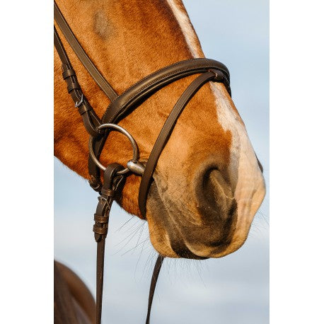 Cabezada de montar - Muserolle combinée - Riding World para equitación - vista 3