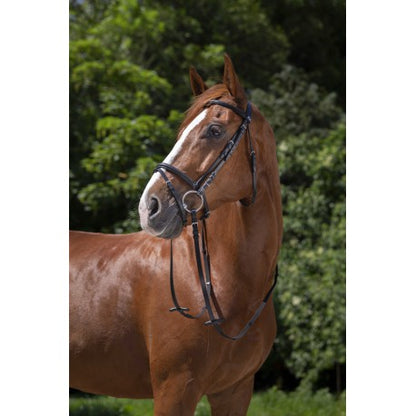 Cabezada de montar - Muserolle combinée - Riding World