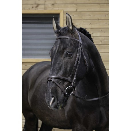 Cabezada de montar - Muserolle combinée - Riding World