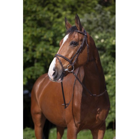 Cabezada de montar - Muserolle combinée - Riding World