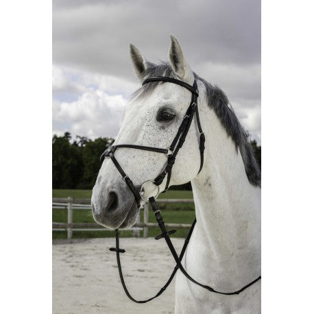 Cabezada de montar - Muserolle croisée - Riding World para equitación