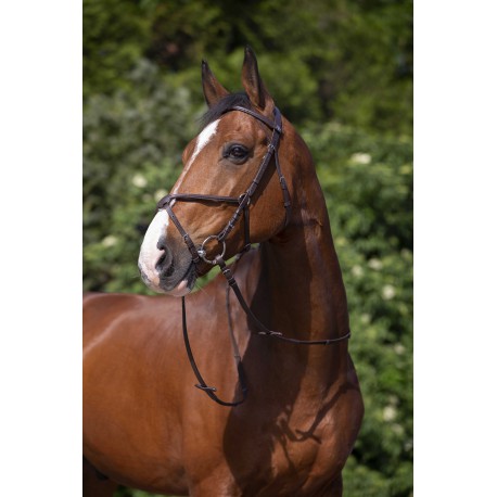 Cabezada de montar - Muserolle croisée - Riding World para equitación - vista 3