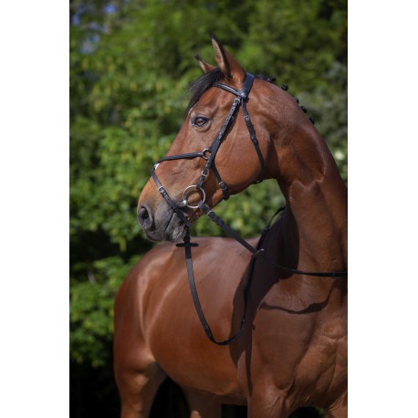 Cabezada de montar - Muserolle croisée - Riding World para equitación - vista 6