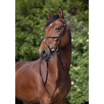 Cabezada de montar - Muserolle croisée - Riding World para equitación - vista 5