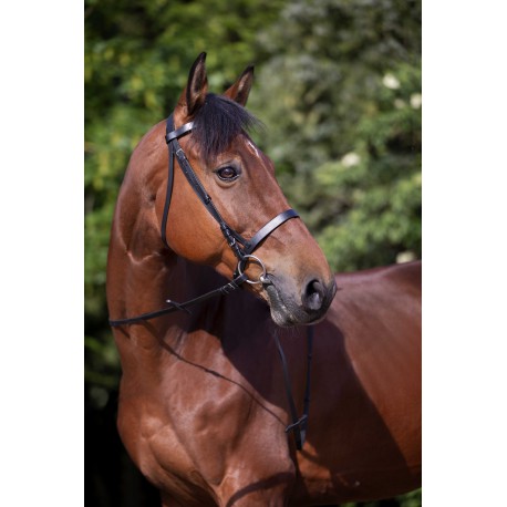 Cabezada de montar - Muserolle française - Riding World para equitación - vista 3