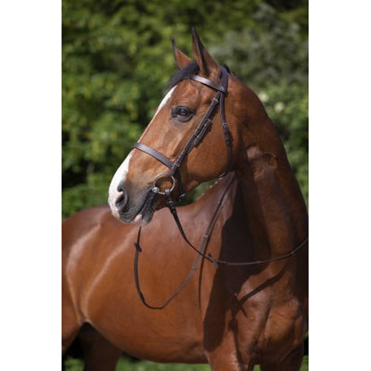Cabezada de montar - Muserolle française - Riding World para equitación - vista 5