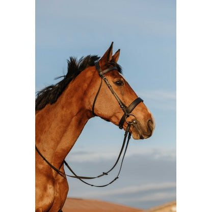 Cabezada de montar - Muserolle large - Riding World - Riding World