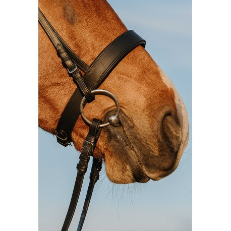 Cabezada de montar - Muserolle large - Riding World