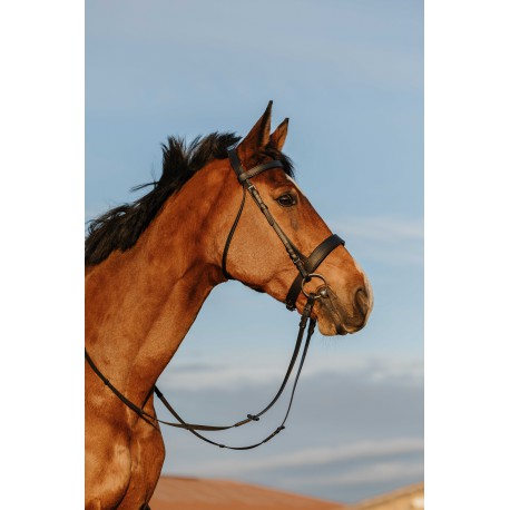 Cabezada de montar - Muserolle large - Riding World