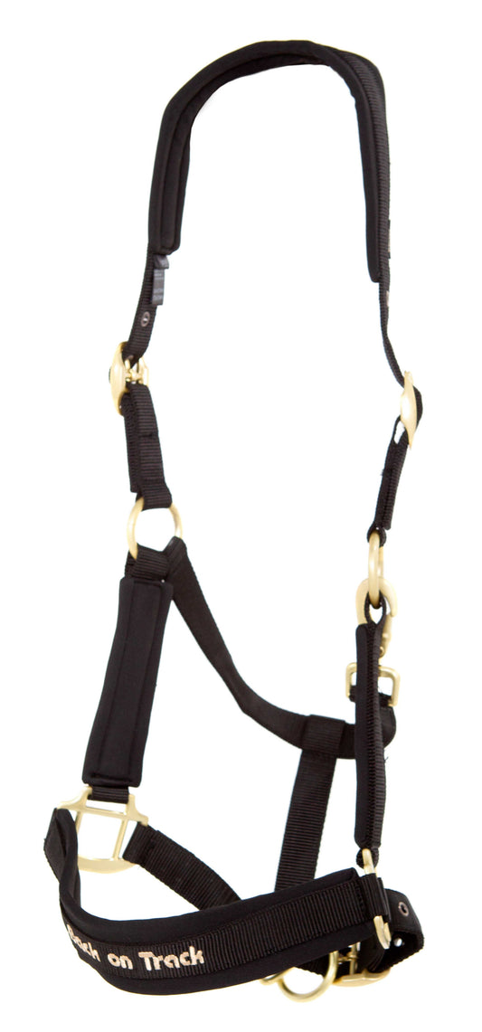 Cabezada de nylon ® - Werano - Back On Track