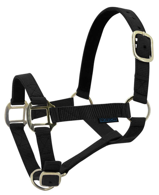 Cabezada de nylon forrada de cuero - Norton