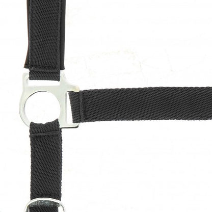 Cabezada de nylon - Forro de neopreno - Norton - Norton