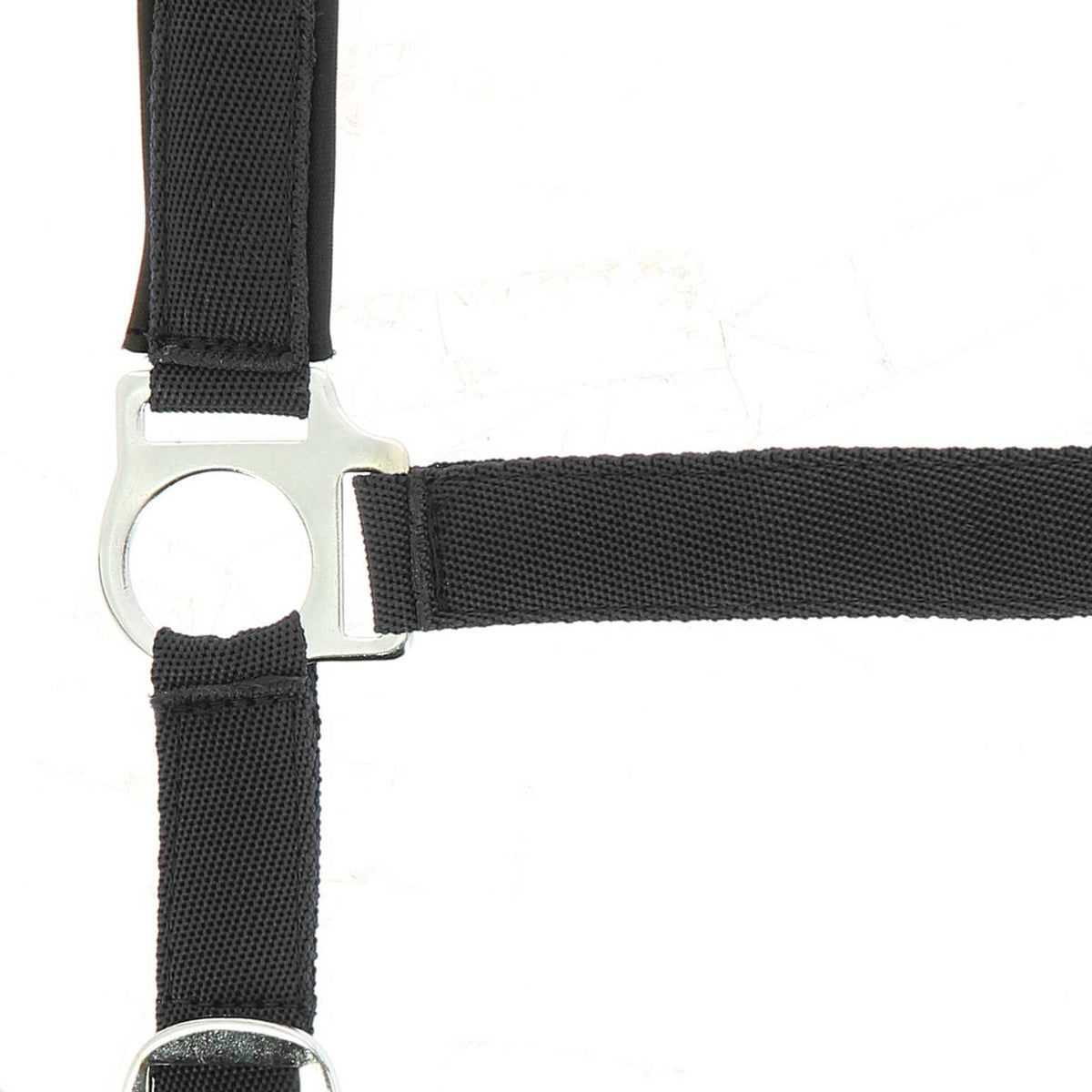 Cabezada de nylon - Forro de neopreno - Norton
