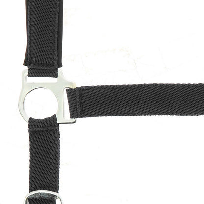 Cabezada de nylon - Forro de neopreno - Norton