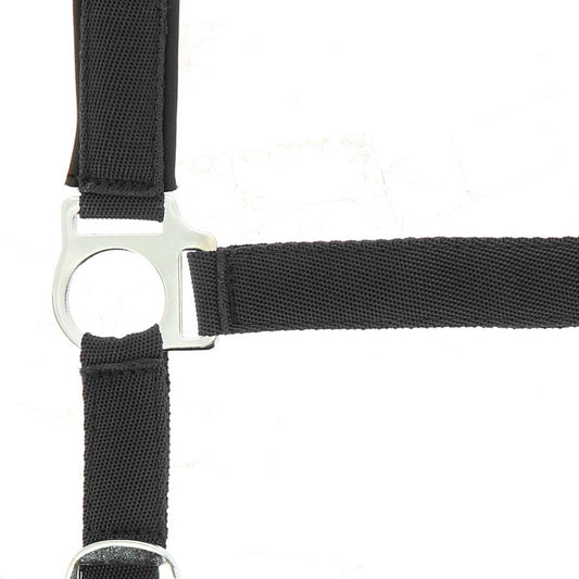 Cabezada de nylon - Forro de neopreno - Norton