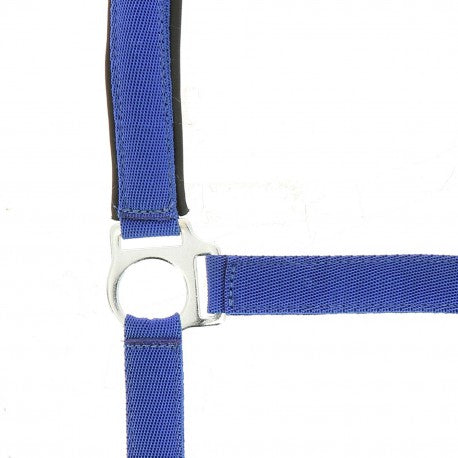 Cabezada de nylon - Forro de neopreno - Norton