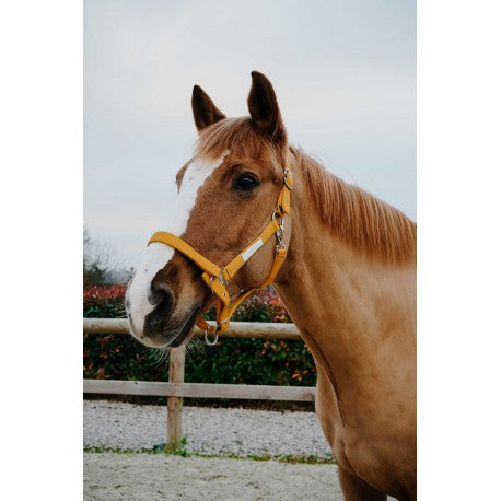 Cabezada - Opal - Equithème - Equithème