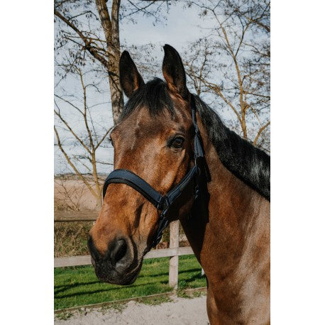 Cabezada - Pearl - Equithème