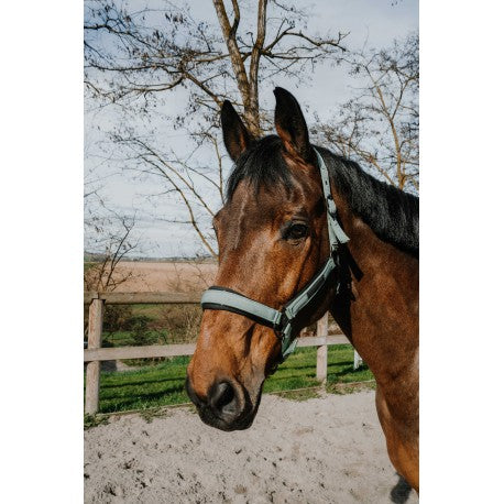 Cabezada - Pearl - Equithème
