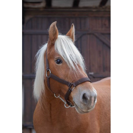 Cabezada para caballo de tiro - Norton
