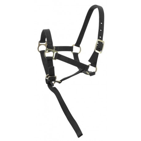 Cabezada para potro + ramal - Norton