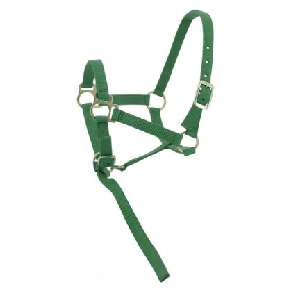 Cabezada para potro + ramal - Norton