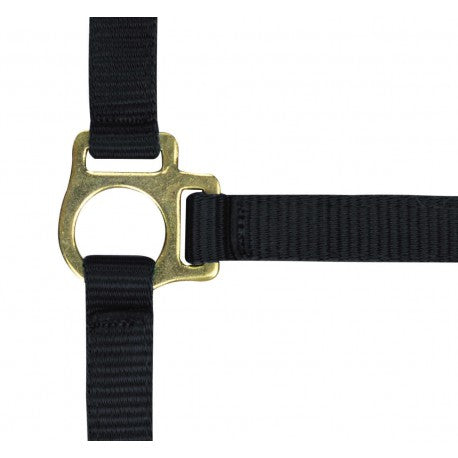 Cabezada para potro + ramal - Norton